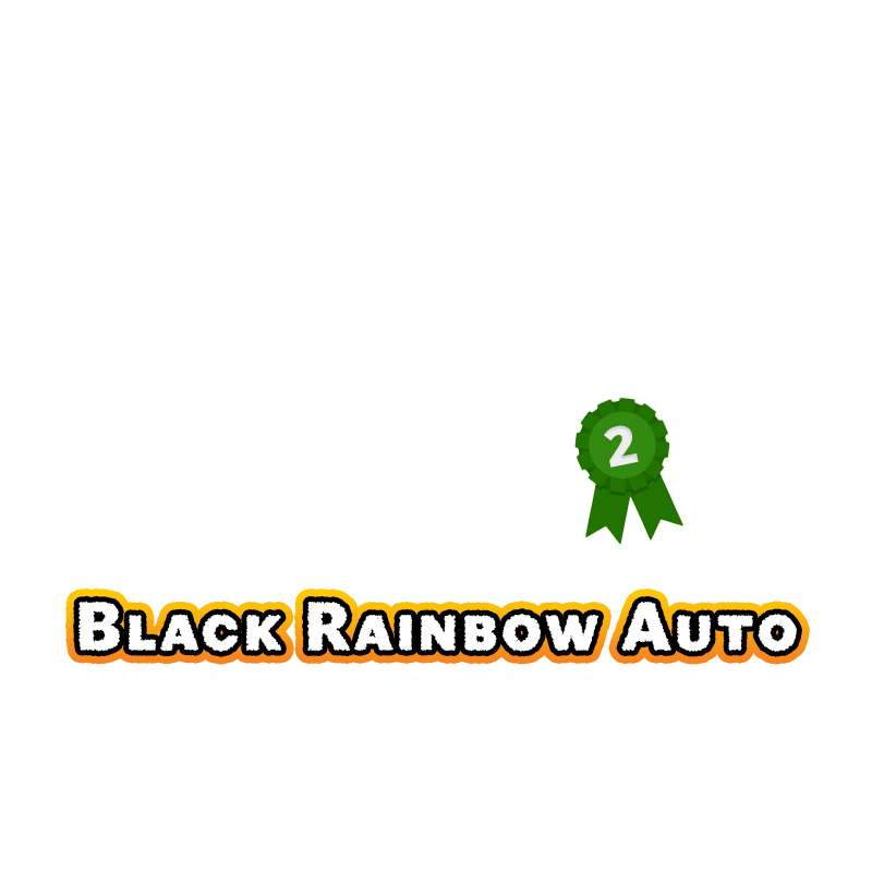 2023-Black-rainbow-2-best-auto