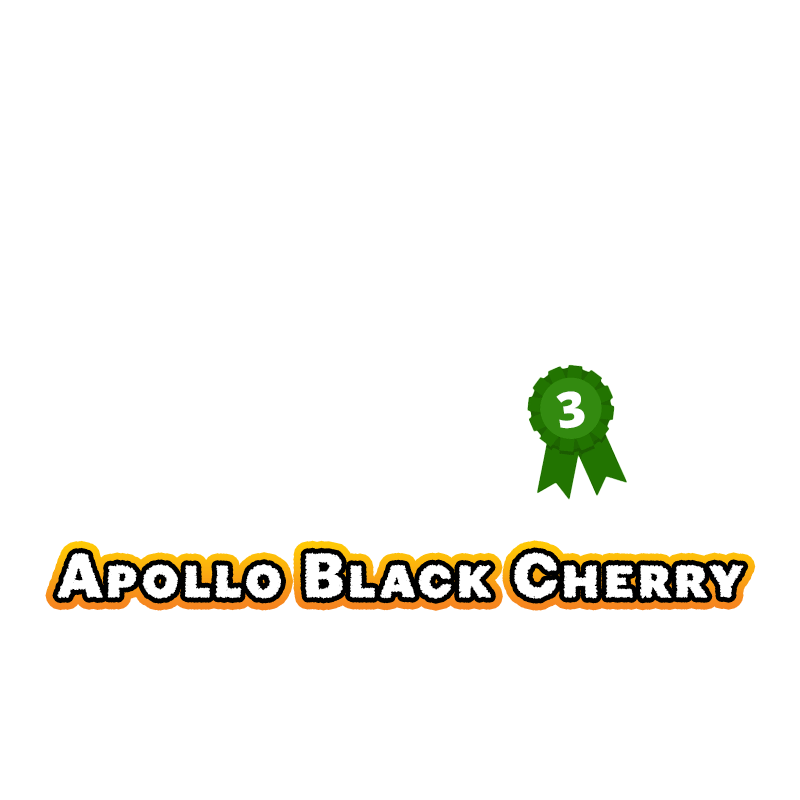 2023-apollo-black-cherry-3-best-dry-sift